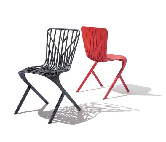 Knoll Washington skeleton 1