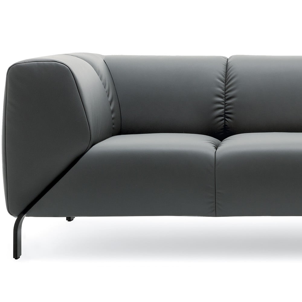 Rolf Benz 323 voorstaand