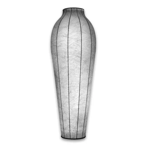 flos chrysalis
