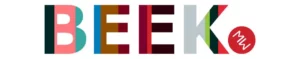 VAN BEEK LOGO